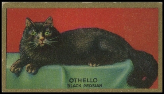 24 Othello Black Persian